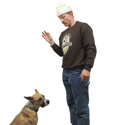 Good Boy, Butter Crew